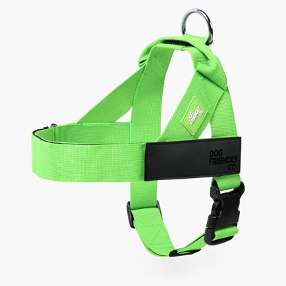 Dog Friendly Co. No-Pull Harness - Easy Fit Design for Comfort and Safety - Adjustable, Lightweight, and Chafe-Resistant Straps for All Breeds