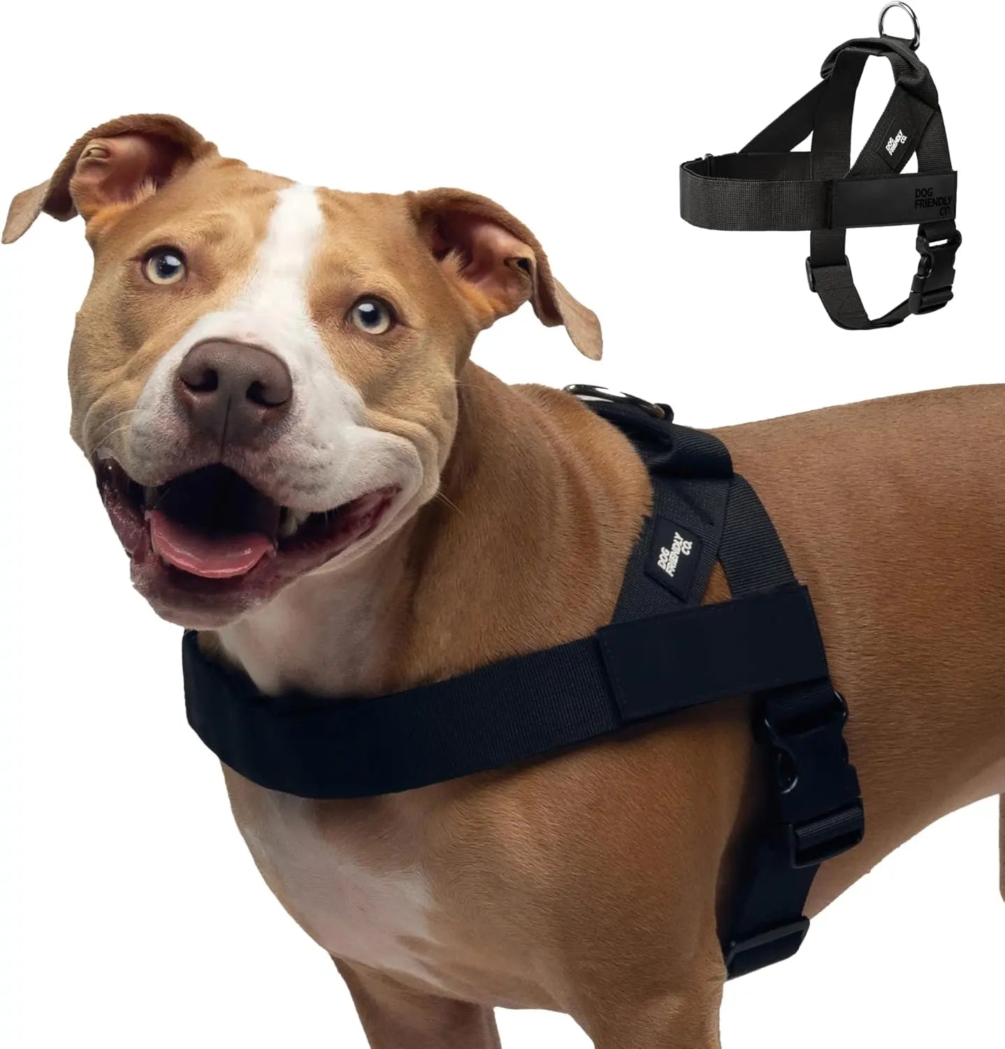 Dog Friendly Co. No-Pull Harness - Easy Fit Design for Comfort and Safety - Adjustable, Lightweight, and Chafe-Resistant Straps for All Breeds