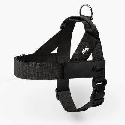 Dog Friendly Co. No-Pull Harness - Easy Fit Design for Comfort and Safety - Adjustable, Lightweight, and Chafe-Resistant Straps for All Breeds