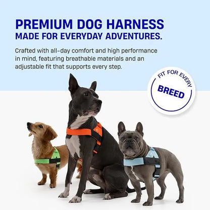 Dog Friendly Co. No-Pull Harness - Easy Fit Design for Comfort and Safety - Adjustable, Lightweight, and Chafe-Resistant Straps for All Breeds