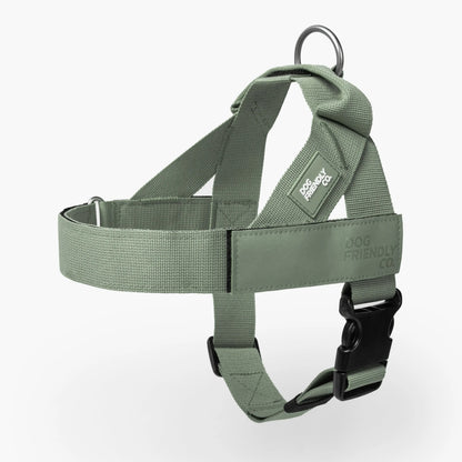 Dog Friendly Co. No-Pull Harness - Easy Fit Design for Comfort and Safety - Adjustable, Lightweight, and Chafe-Resistant Straps for All Breeds