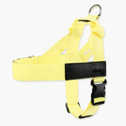 Dog Friendly Co. No-Pull Harness - Easy Fit Design for Comfort and Safety - Adjustable, Lightweight, and Chafe-Resistant Straps for All Breeds