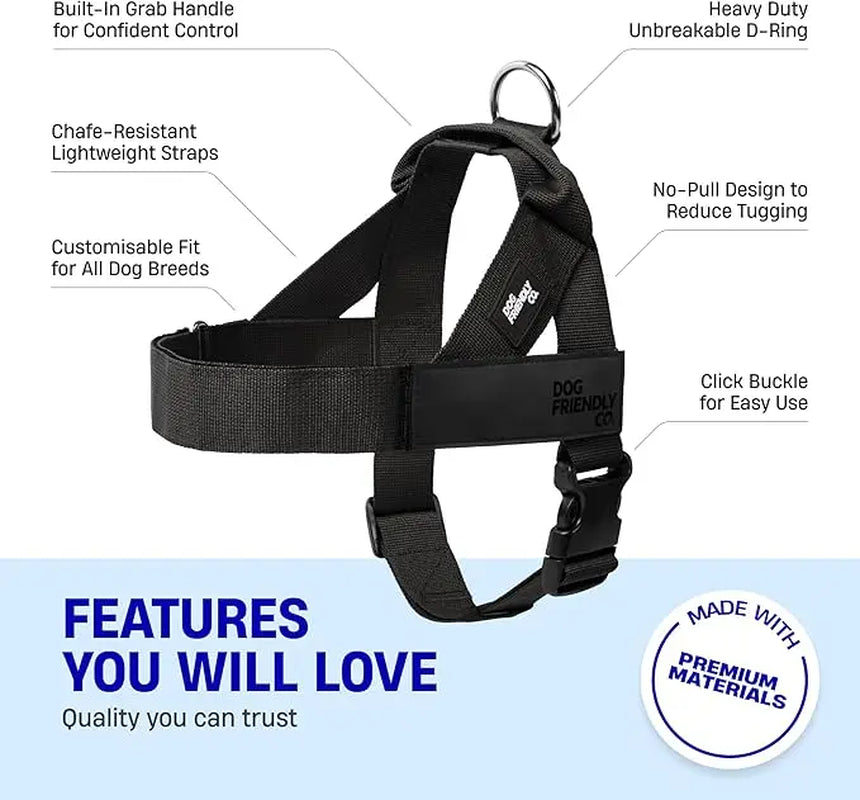 Dog Friendly Co. No-Pull Harness - Easy Fit Design for Comfort and Safety - Adjustable, Lightweight, and Chafe-Resistant Straps for All Breeds