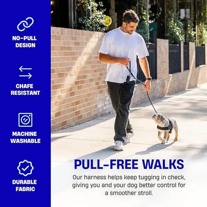 Dog Friendly Co. No-Pull Harness - Easy Fit Design for Comfort and Safety - Adjustable, Lightweight, and Chafe-Resistant Straps for All Breeds