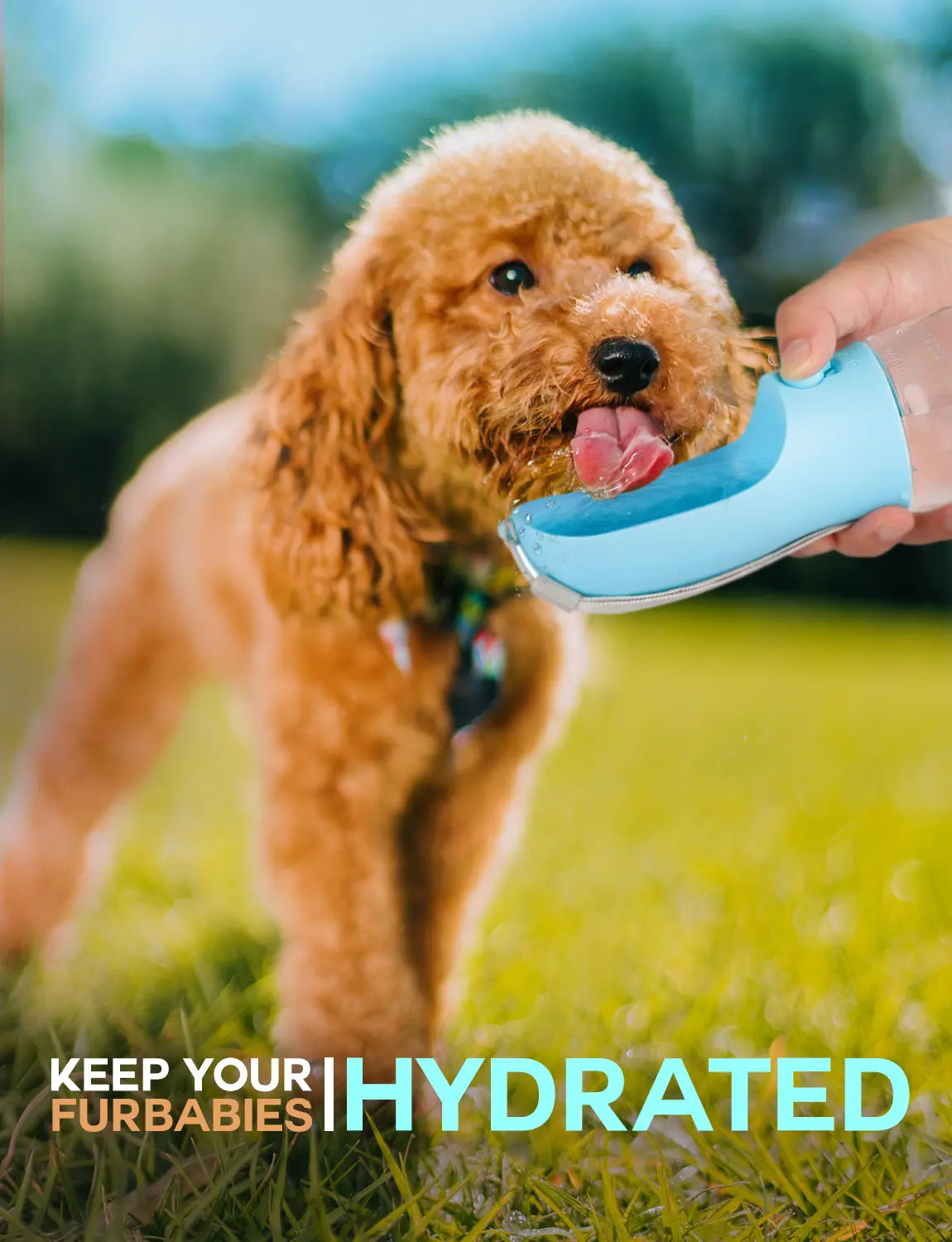 3-in-1 Portable Pet Water Bottle - 20 oz Leak-Proof Container with Integrated Poop Bag Dispenser for Travel, Hiking, and Outdoor Activities