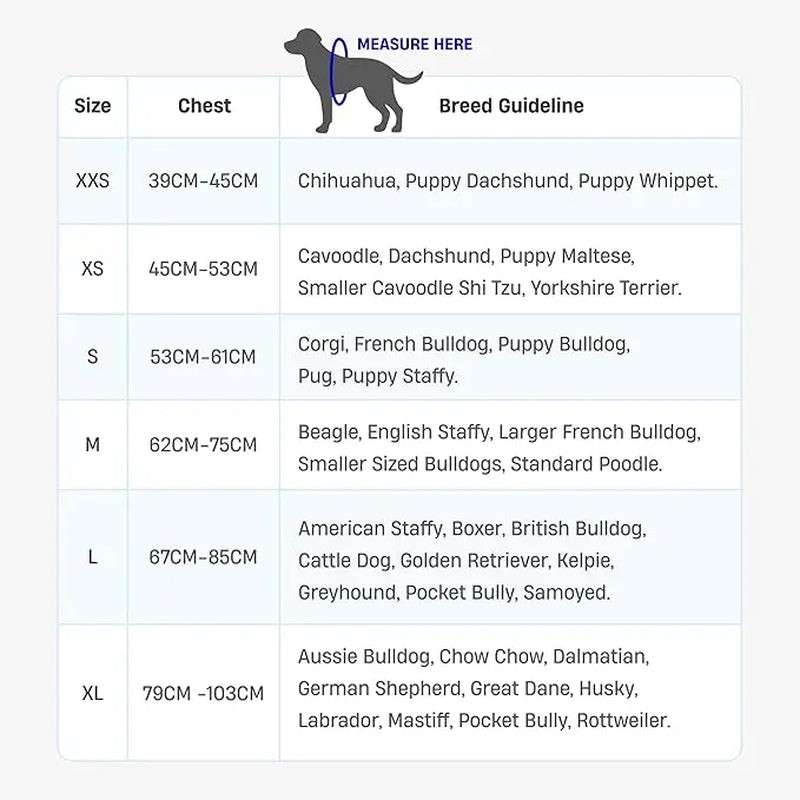 Dog Friendly Co. No-Pull Harness - Easy Fit Design for Comfort and Safety - Adjustable, Lightweight, and Chafe-Resistant Straps for All Breeds