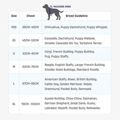 Dog Friendly Co. No-Pull Harness - Easy Fit Design for Comfort and Safety - Adjustable, Lightweight, and Chafe-Resistant Straps for All Breeds